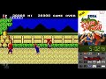 Double Dragon SMS In 14 17 Speedrun WR