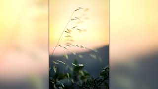 Katherine McPhee - Round Your Little Finger (Slowed)