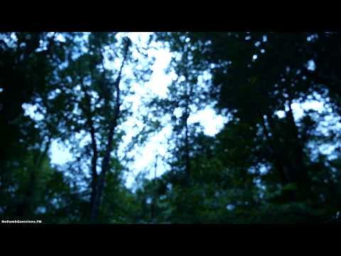 No Dumb Questions 062 - Dreaming In Tetris (Averted Thought)