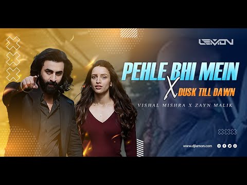Pehle Bhi Mein X Dusk Till Dawn  - DJ Lemon | Vishal Mishra | Zayn Malik | Animal Movie