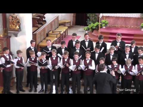Knabenchor capella vocalis "Salmo 150" Ernani Aguiar (St. Martin Engstingen 15.07.2017)