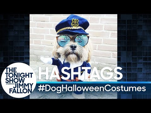 Hashtags: #DogHalloweenCostumes
