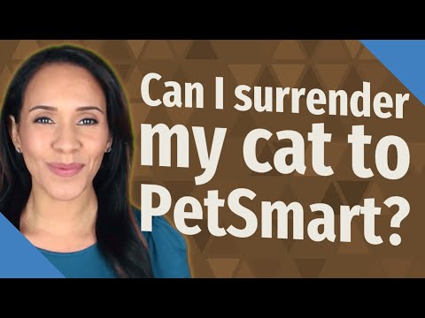 Can I surrender my cat to PetSmart?
