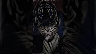 Download lagu Khodam pendamping dalam diri kita #story #storywa #status #statuswa #statusvideo #khodammacan #fyp mp3 Download lagu Khodam pendamping dalam diri kita #story #storywa #status #statuswa #statusvideo #khodammacan #fyp mp3