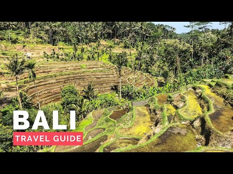 BALI, INDONESIA Travel Guide | Happy Trip