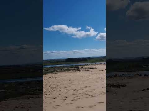 Valizas Rocha Uruguay 🙌❤️‍🔥🪶🛵#destacar #viralvideo #viral #motoviajero #viralshort