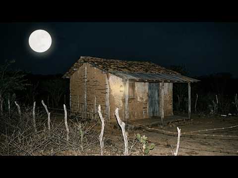 O ERRO FATAL DE PROMETER SAL A UM LOBISOMEM (Aconteceu em Minas)