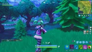 Fortnite_20180529030202