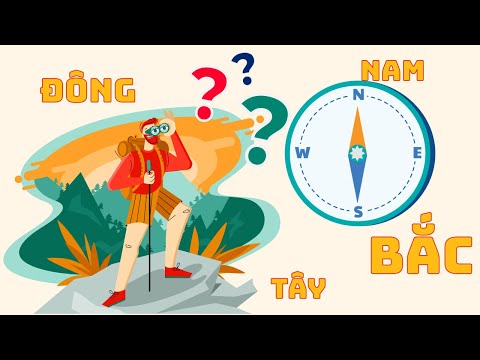 Cách xác định phương hướng khi bị lạc trong rừng