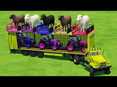 LOAD And TRANSPORT SHEEPS And MINI LANDINI TRACTORS with OLD TRUCK - Farming Simulator 2022