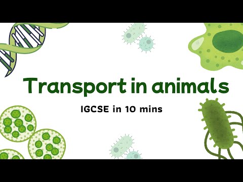 Transport in Animals Explained in 10 Minutes | IGCSE Biology Chapter 9