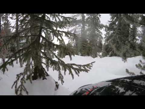 09 rmk 800 boondocker turbo