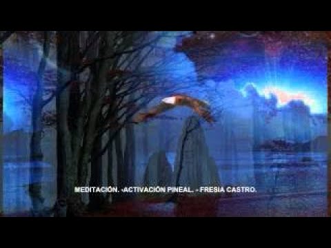 ACTIVACIÓN PINEAL. FRESIA CASTRO.