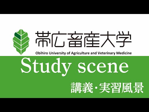 帯広畜産大学　講義・実習風景紹介　～Study scene～