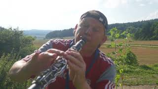 Little Hollywood - Alle Farben &amp; Janieck (Saxophon/Clarinet Cover by Saxman Stefan Lamml)