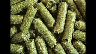 5T/H alfalfa feed pellet production line for sale Argentina