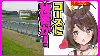 競馬初心者、コースの秘密を知る