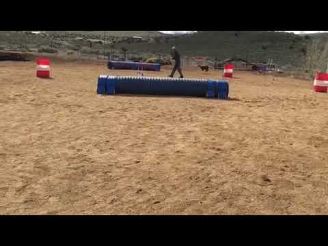 Kash Elite barrelers passion