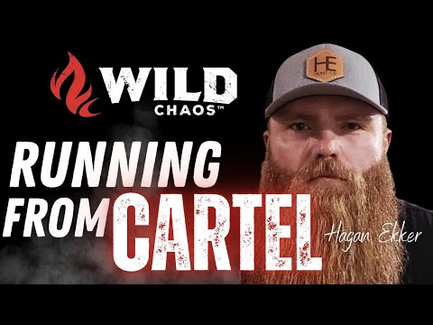 Stabbings, Cartels & Trophy Hunts: Crazy Stories You Wont Believe #69