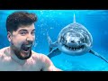 Você Nadaria com Tubarões por $10,000?