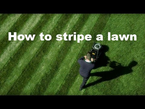 Hayter Harrier 56 Pro Autodrive VS ( 579A) 22" - Image 2