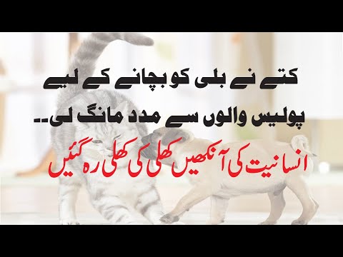 A DOG ASK HELP FROM COPS TO SAVE CAT BY REALITY OF LIFE IN اردو / हिंदी