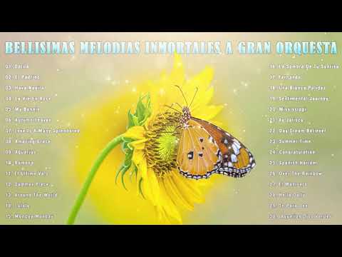 BELLISIMAS MELODIAS INMORTALES A GRAN ORQUESTA - ORQUESTACIONES MAGISTRALES PARA EXITOS DEL RECUERDO