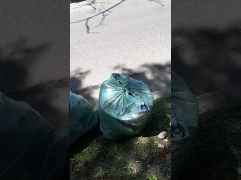 Menos Publicidad y MAS GESTIÓN @VivamosVL @jorgemacriok #solemartinezvl ##vivamosvl