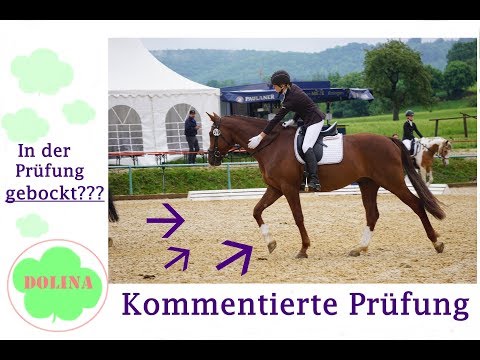 In der Prüfung gebockt? | Kommentierte Dressurprüfung