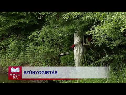 Videó előnézet