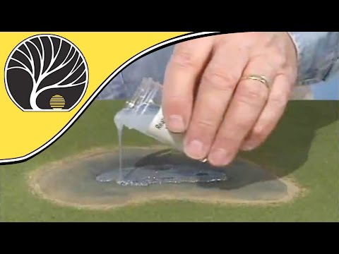 ReadyGrass Water Kit -  Model Scenery | Woodland Scenics