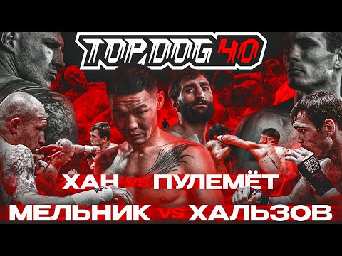 TOP DOG 40 | Мельник VS Хальзов, Хан VS Пулемёт | Лучший нокаут