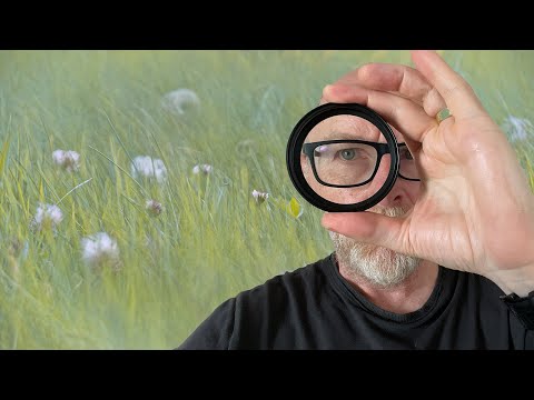 AMAZING Macro photography on a BUDGET