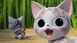 Cat Cartoon - Chi's Sweet Adventure | Funny Cartoon for Kids | Cartoon Mate