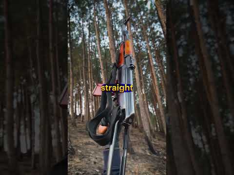 Why Is The AK-47 So Popular?