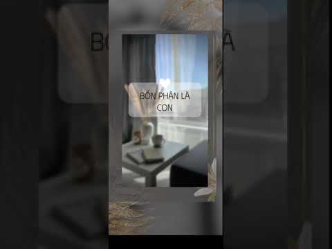 #190 HIẾU THẢO TỬ TẾ VỚI CHA MẸ KHÔNG CÓ NGHĨA LÀ CÁI GÌ CŨNG VÂNG LỜI HỌ