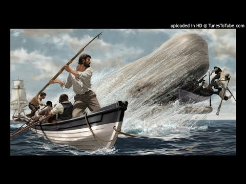 Taunta (sammy's Tune) video