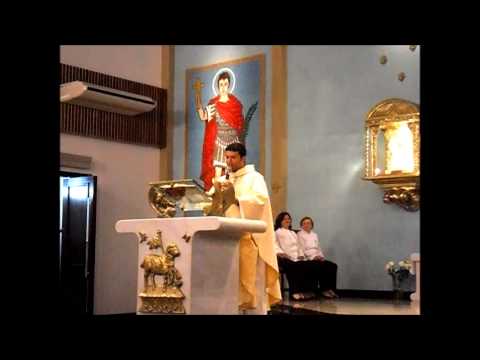 Homilia-Pe Gil-Festa de N.Sra do Carmo-16/7/2013-PASMASE-Brasilia-DF