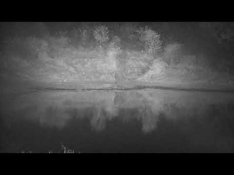 Djuma: Lone Elephant gets drink at the dam (apologies for some cam issies) - 21:57 - 07/10/21