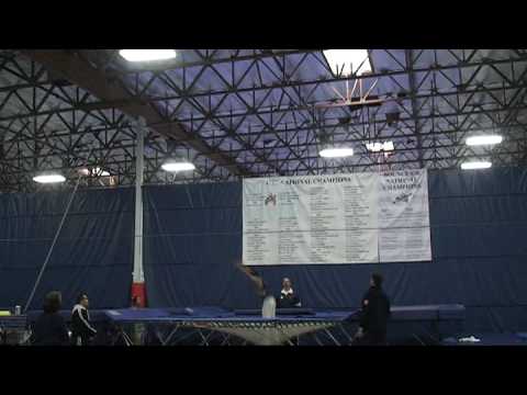 Neil Gulati Epic Crash 02.07.09