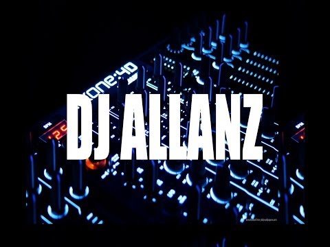 Zedd ft Hayley WIlliams - Stay The Night DJ Allanz Remix