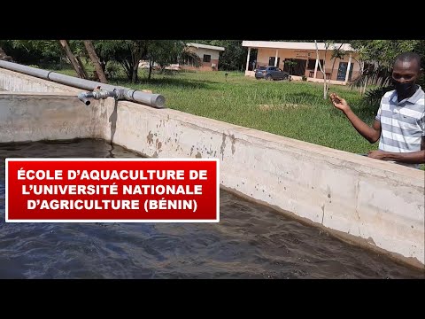 , title : 'Visite de l’École d’Aquaculture de l’Université Nationale d’Agriculture (Bénin)'