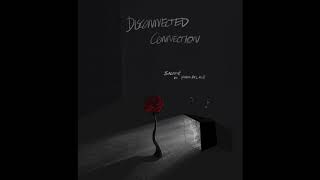 Disconnected Connection - Salomé (ft. Pink Palace)
