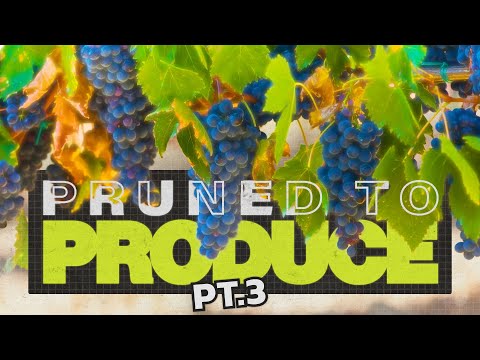 Pruned To Produce - Pt.3 | Dean Forster | Livestream