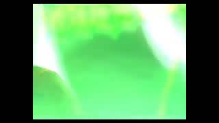 Download lagu 30 TAHUN SLANK REUNI F13 GBK PETJAH mp3