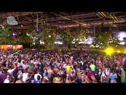 Tomorrowland 2013 - Wolfpack