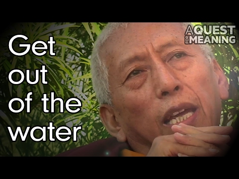Thumbnail of the video: "Swim against the current or get out of the water" by Samdhong Rinpoche