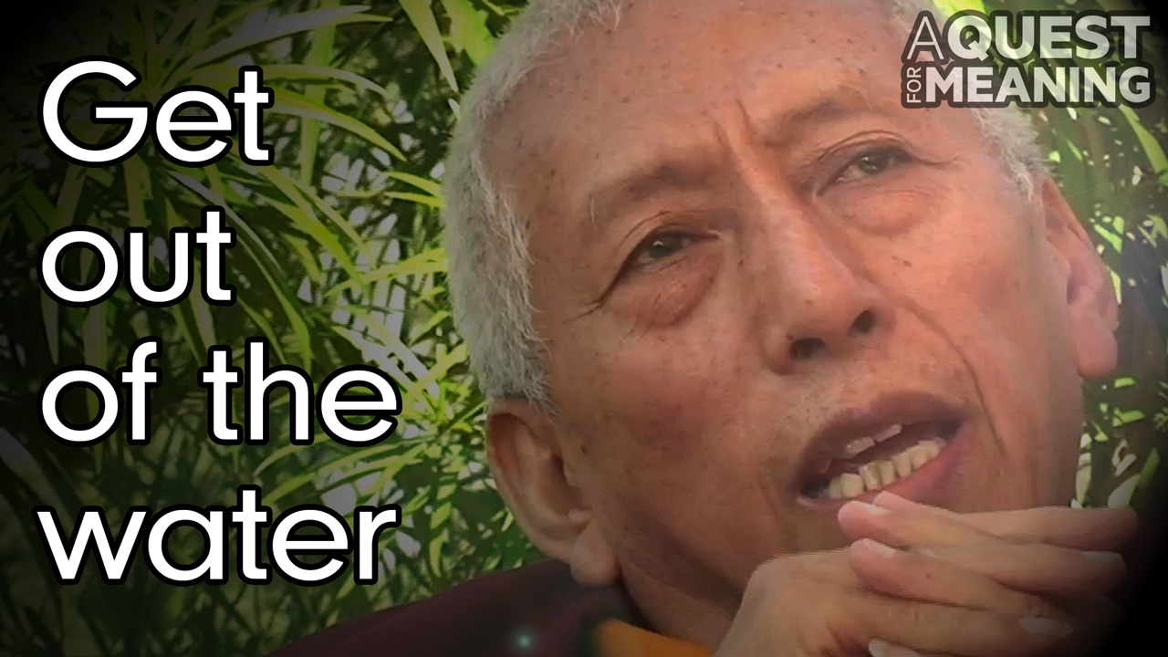 "Swim against the current or get out of the water" by Samdhong Rinpoche