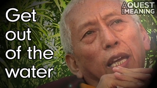 "Swim against the current or get out of the water" by Samdhong Rinpoche