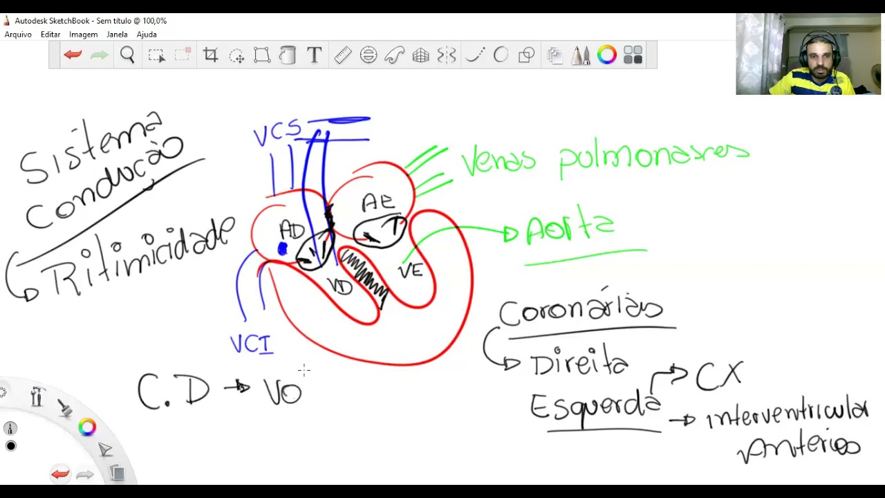 Musculo Cardíaco - Capitulo 9 - Guyton - Parte 1